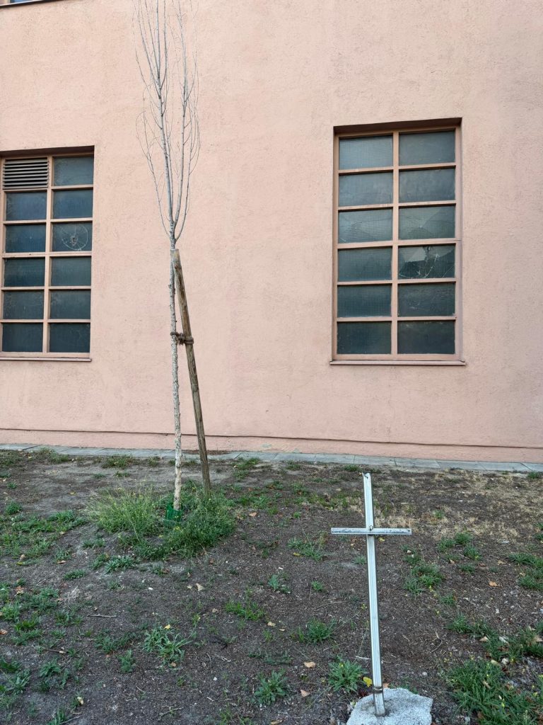 Baumfriedhof mit Kreuz: Hier gibt es wohl keine Rettung mehr und außer dem Weißanstrich, hat man hier alles falsch. Vor allem keine Bewässerung.
