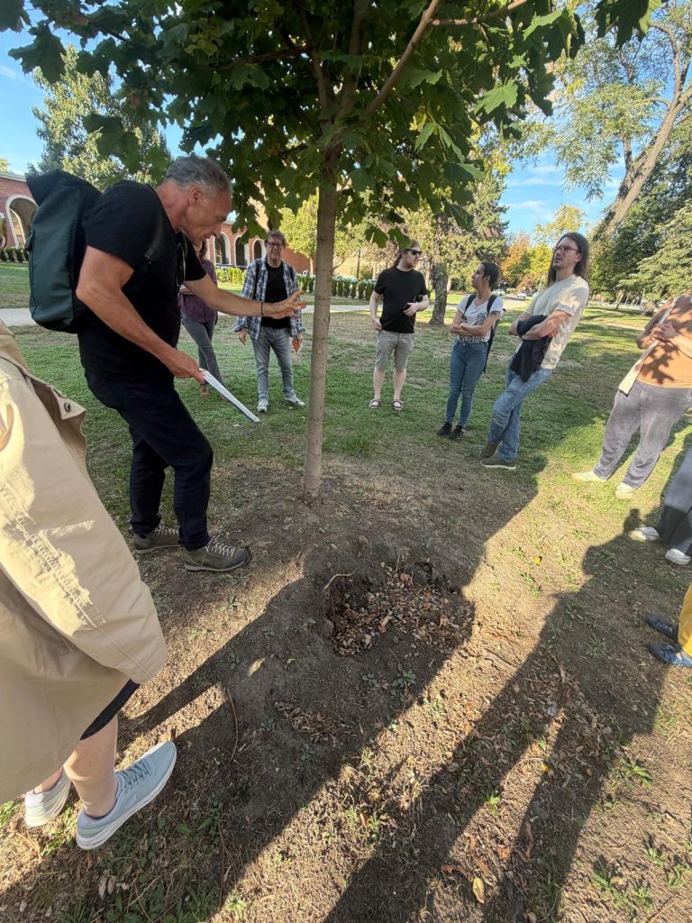 Der neue Baum ist zu nahe an der Baumscheibe des alten gepflanzt. Dies kann für den jungen Baum Probleme durch Höhlen im Untergrund bedeuten.